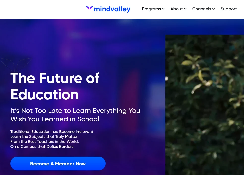 Mindvalley