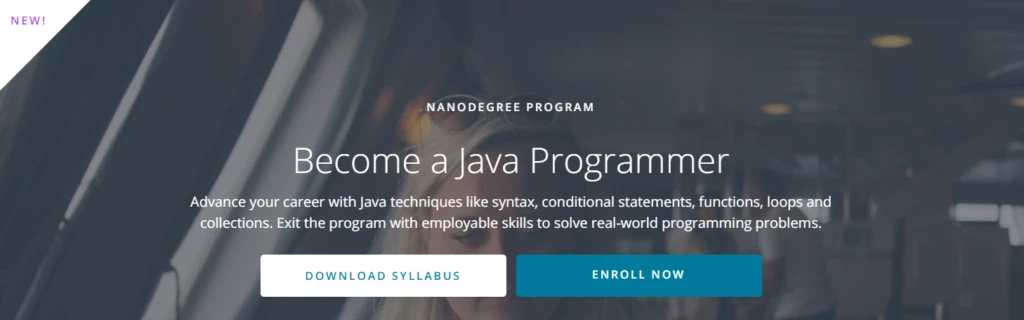 Java Programmer