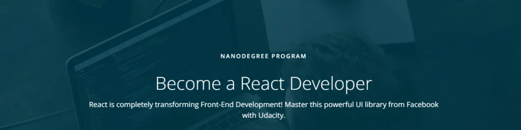 React Developer