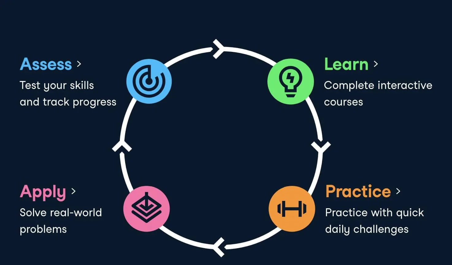 what does Datacamp offer